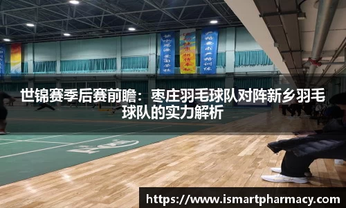 世锦赛季后赛前瞻:枣庄羽毛球队对阵新乡羽毛球队的实力解析